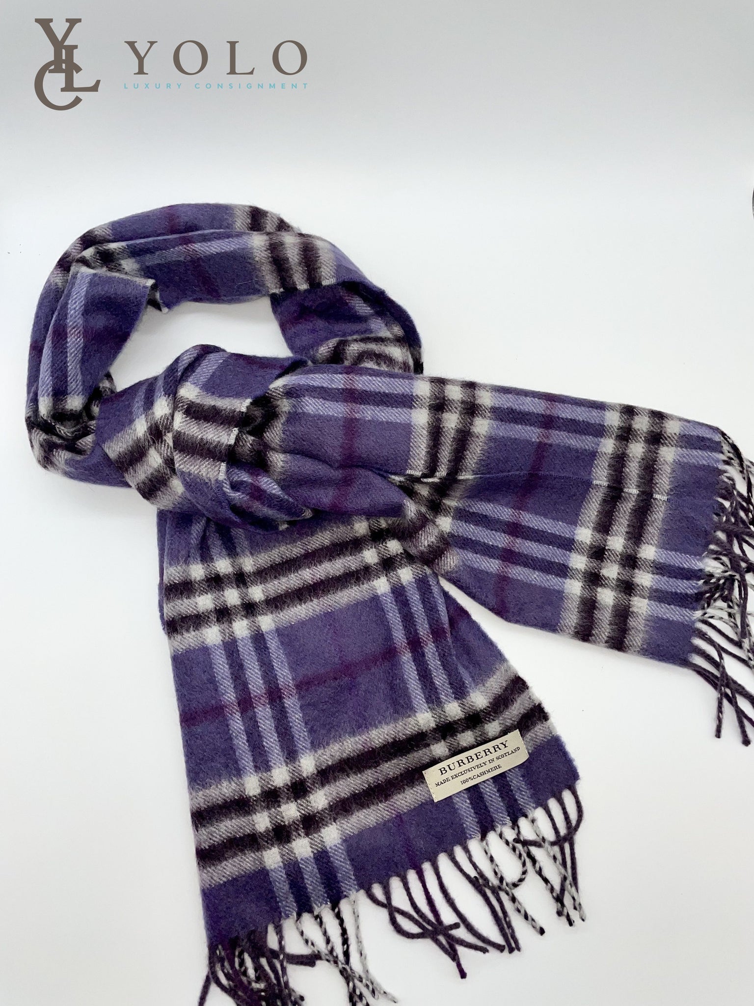 Arriba 78+ imagen burberry cashmere scarf purple