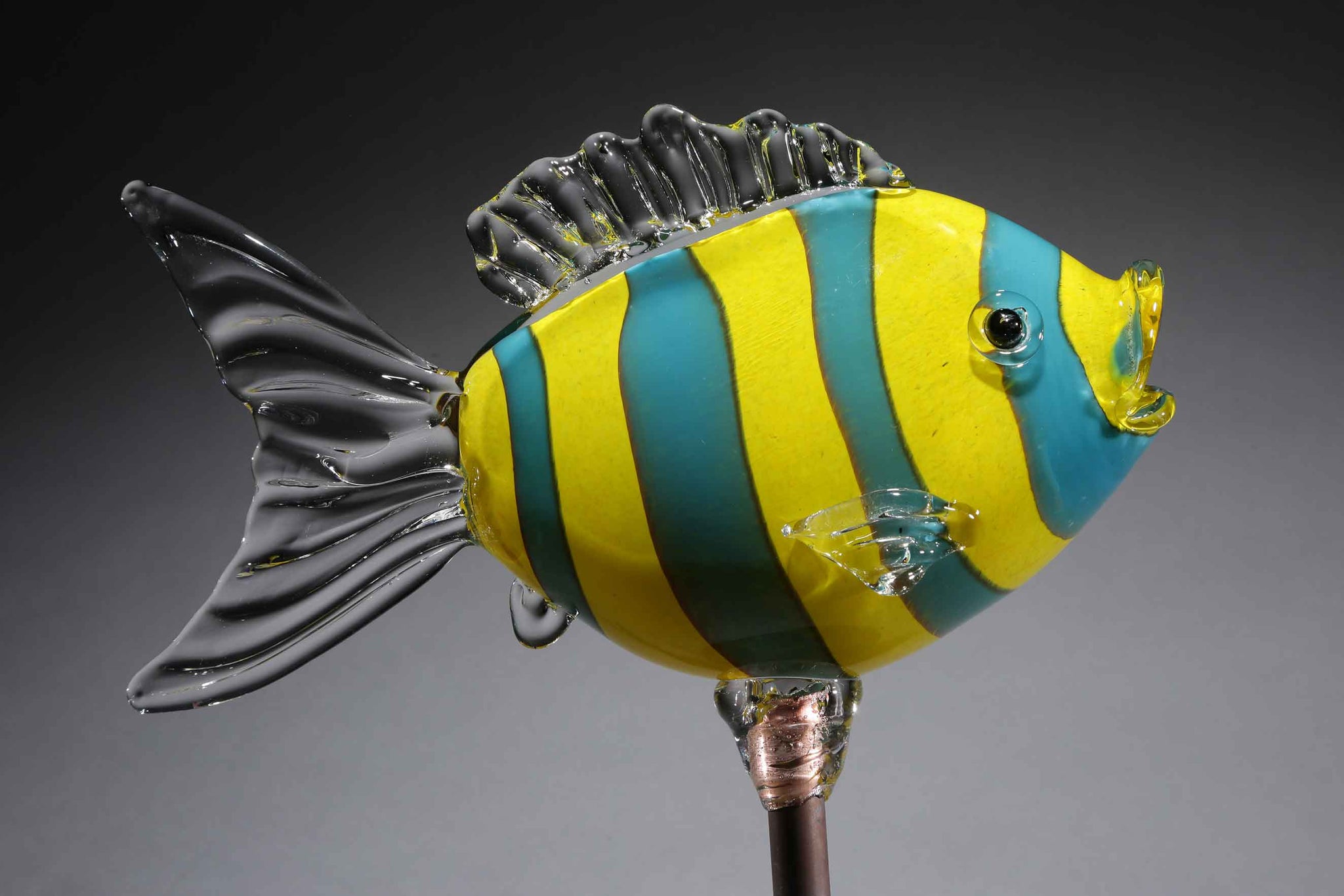 Fish Clownfish Striped Yellow Orange - Island Art Glass