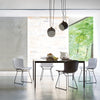 Knoll Bertoia Plastic Side Chair - White Frame, Black Shell