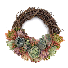 The Grapevine Round Succulent Wreath