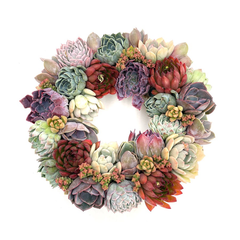 The Stellar Circle Round Succulent Wreath