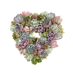 The Succulent Love Heart Succulent Wreath