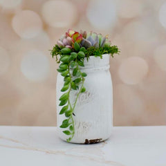 Mason Jar Succulent Arrangement