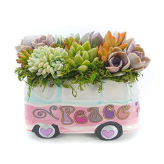 Peace Bus Succulent Arrangement