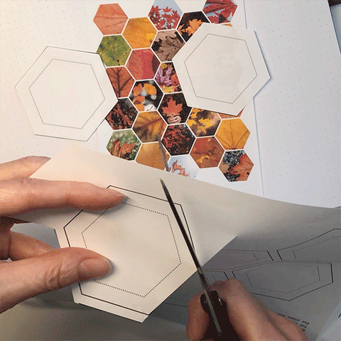 Hexagon spread in the making