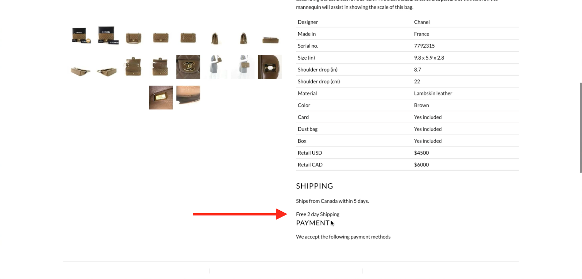 Shopify merchant is checking page to see if the code works