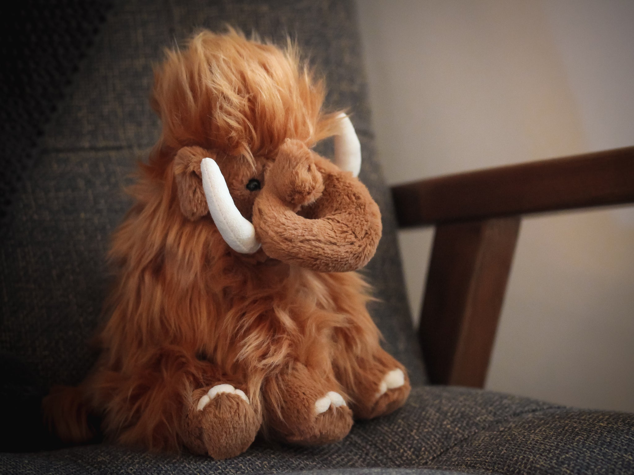 jellycat maximus mammoth