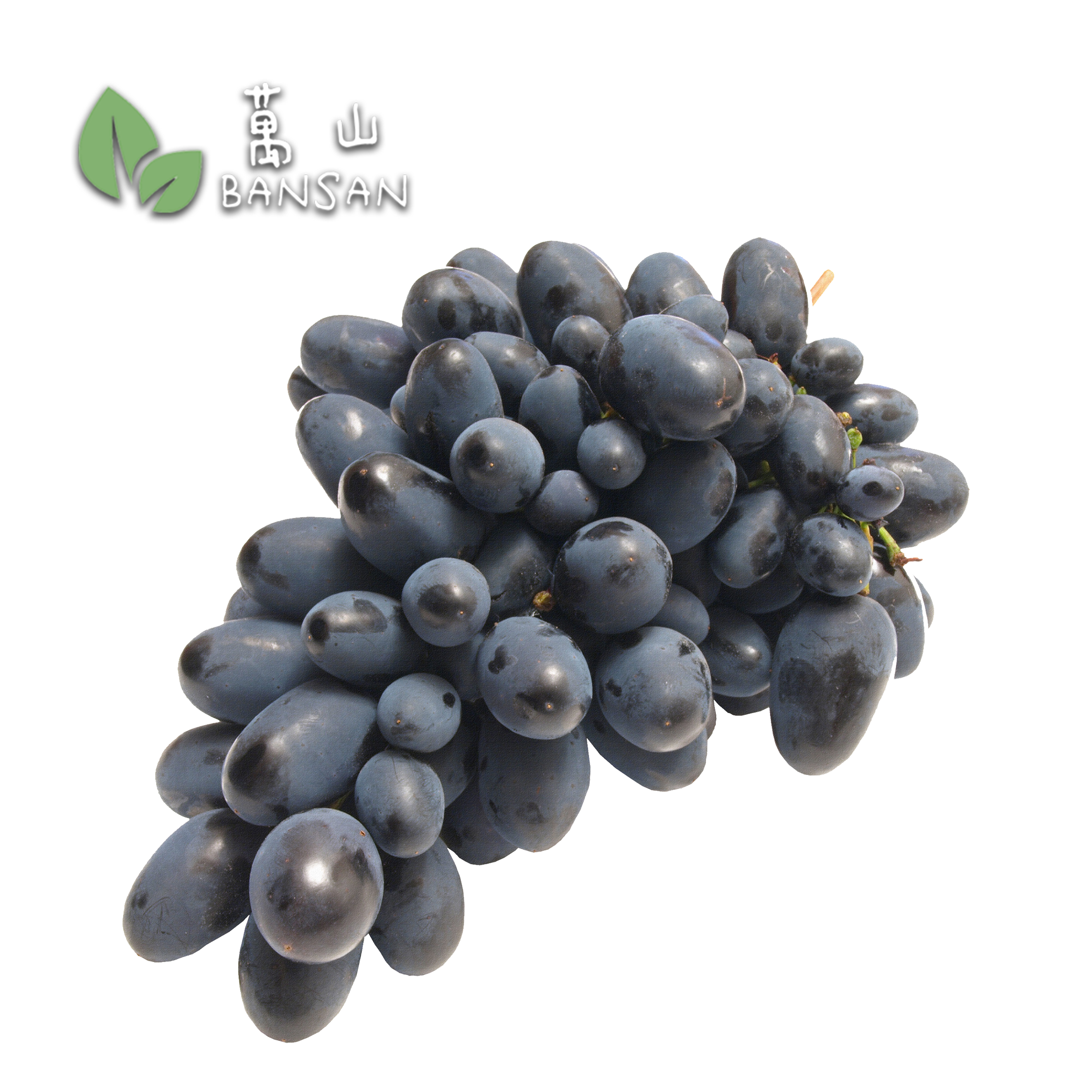Grapes. Autumn Cripps Black 印度黑葡萄(±500g) | Bansan Penang