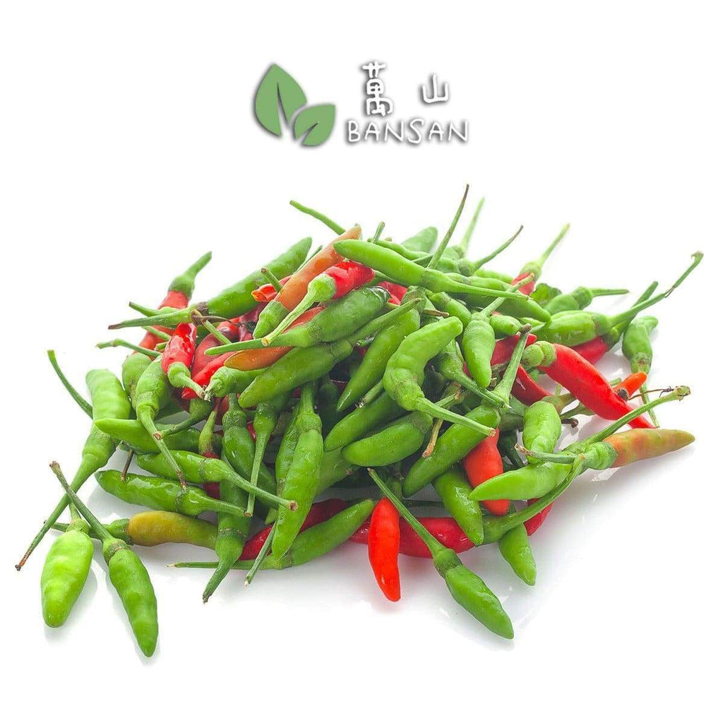 Red Chili Padi (Thailand) 100g