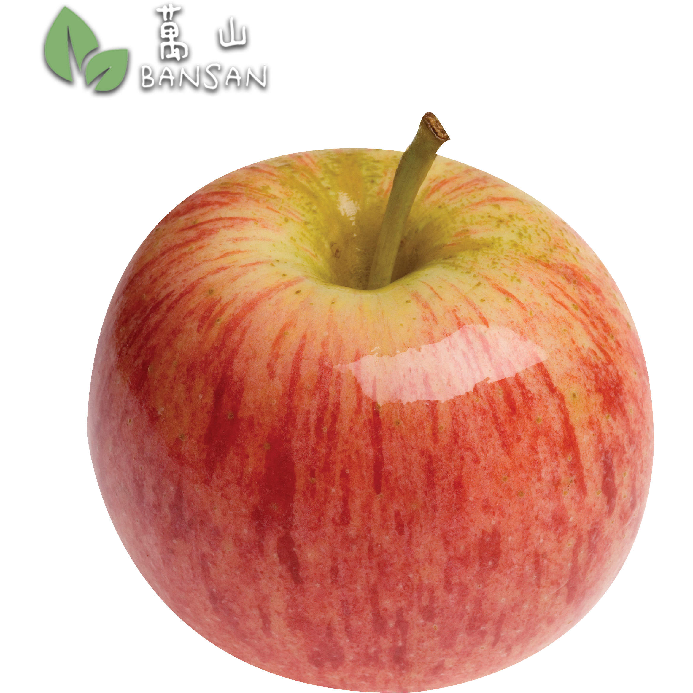 коричное полосатое яблоня фото