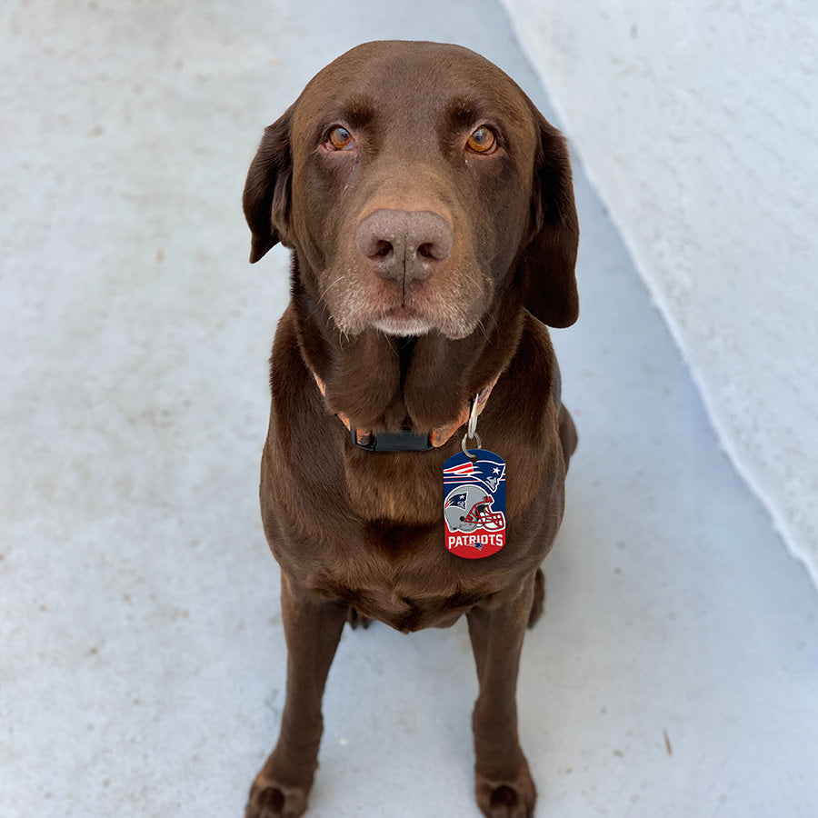 new england patriots dog tag