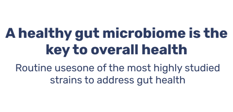 A healthy gut microbiome is the key to overall health. Routine uses one of the most highly studied strains to address gut health