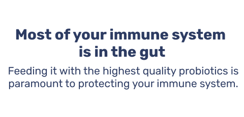 Most of your immune system is in the gut.  Feeding it with the highest quality probiotics is paramount to protecting your immune system