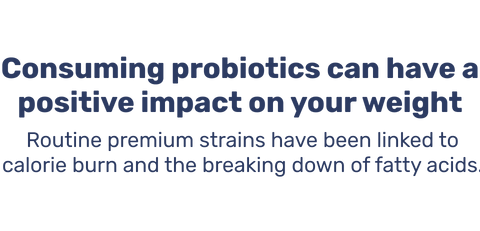 Consuming probiotics can have a positive impact on your weight. Routine premium strains have been linked to calorie burn and the breaking down of fatty acids