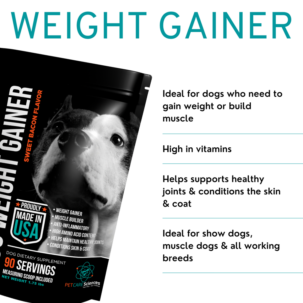 can dogs build muscle