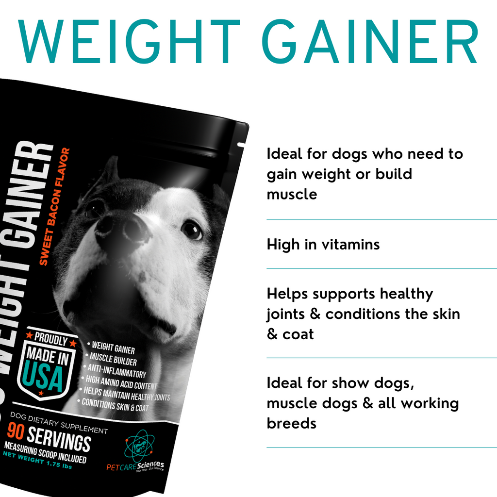 how can i help my dog build muscle