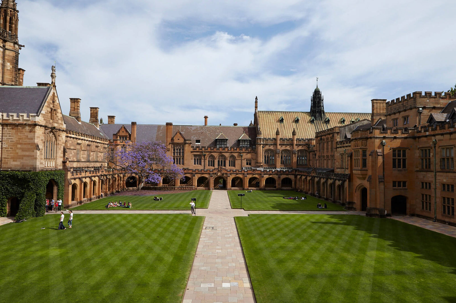 The University of Sydney Medicine | theMSAG Blogs - theMSAG AU