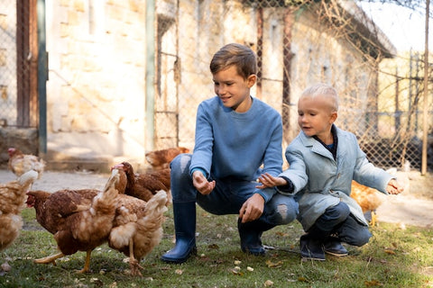 Kinderen voeden en verzorgen kippen