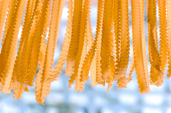 When to Substitute Fresh Pasta for Dried Pasta