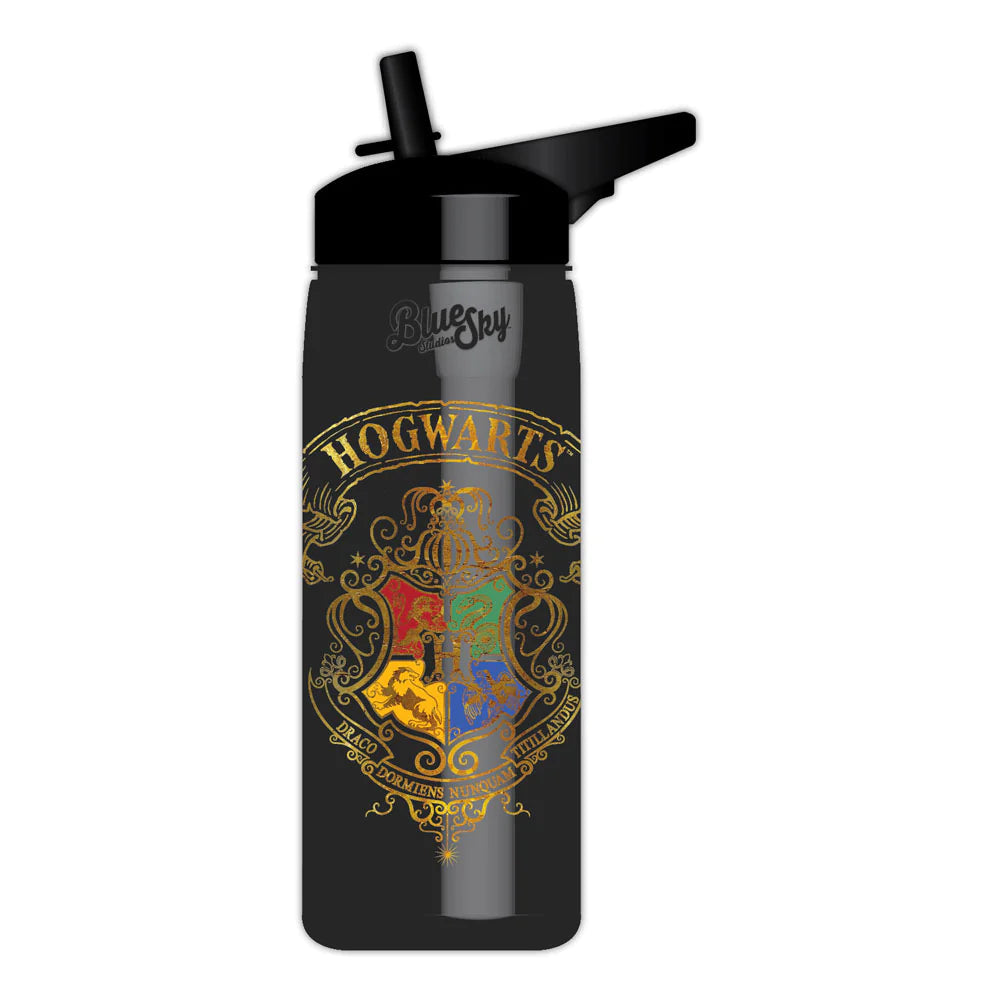 Harry Potter Slytherin Water Bottle – The Enchanted Galaxy