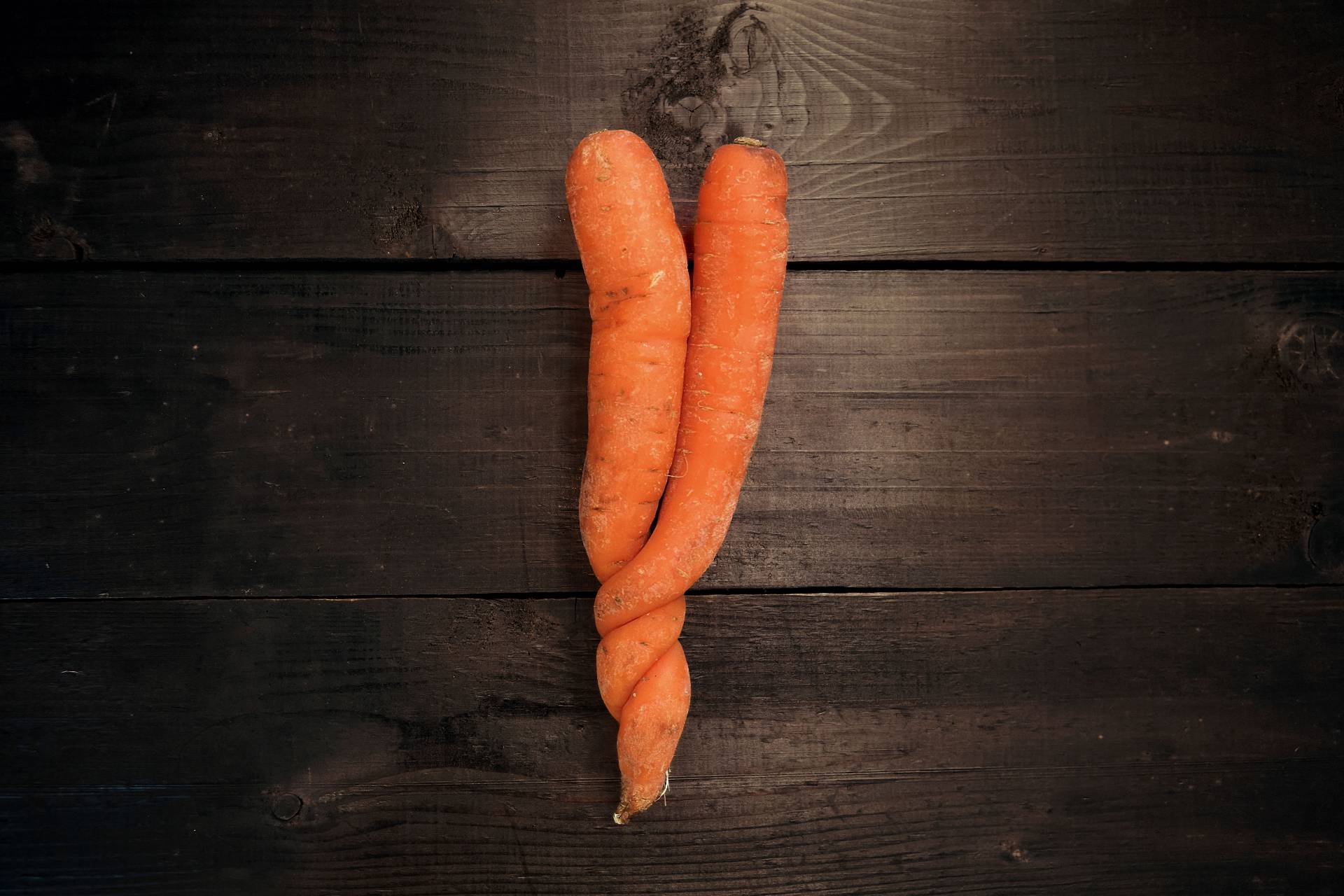 double carotte moche