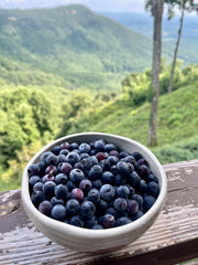Blue Ridge Mountain Blueberries