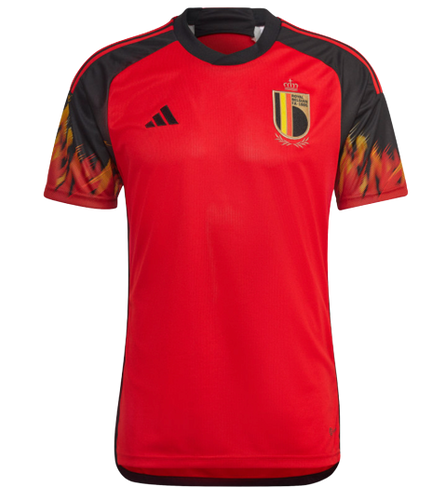 Sudadera con Capucha del Belgica 2022-2023 Gris