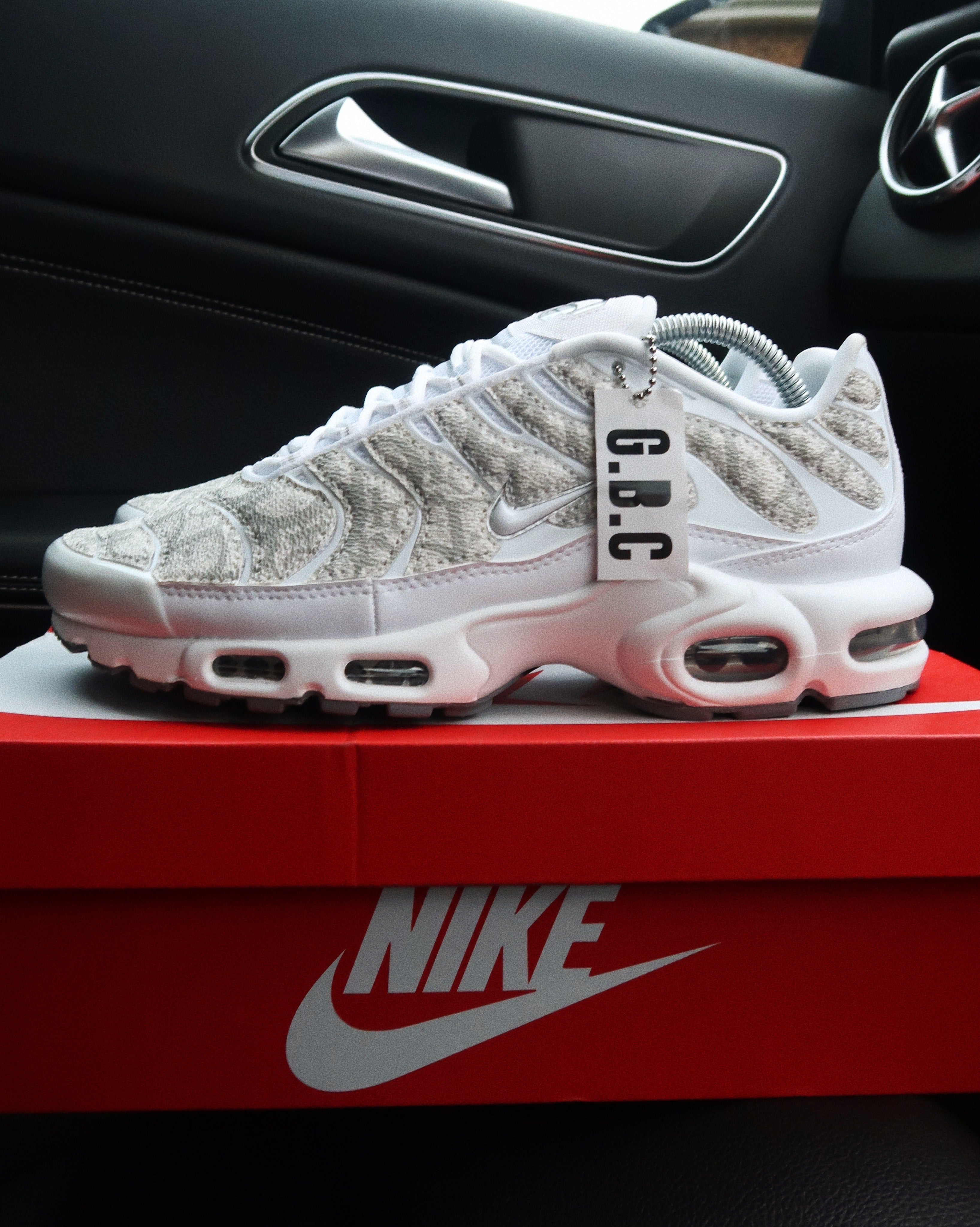 nike air max tn dior