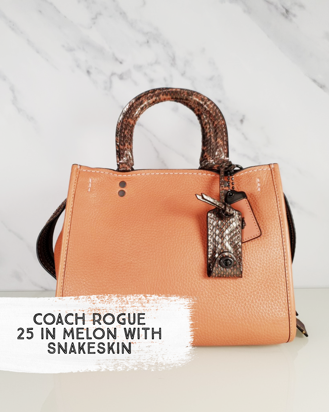 Coach Rogue 25 in Melon with Snakeskin Handles - Essex Fashion House