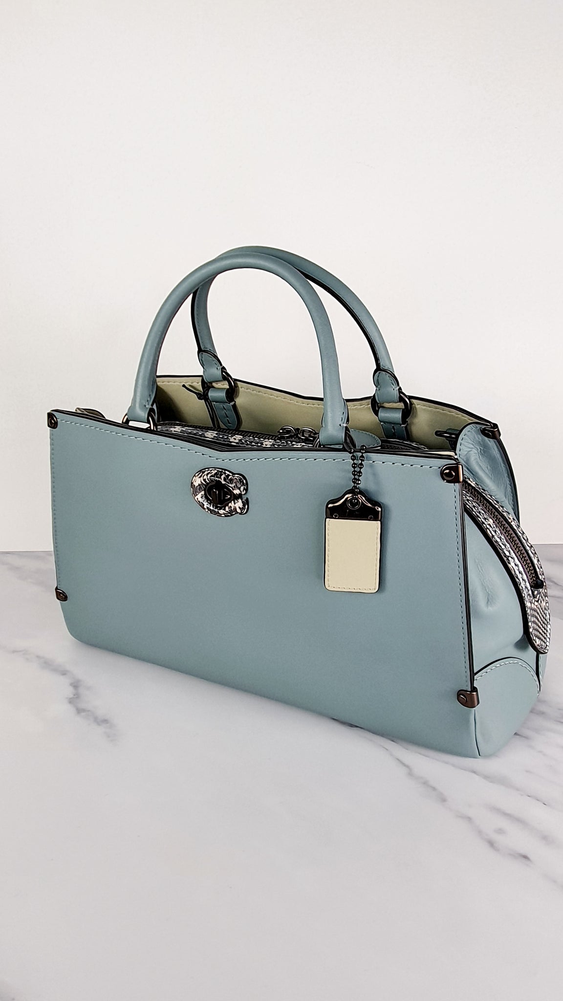 mason carryall in colorblock with snakeskin detail