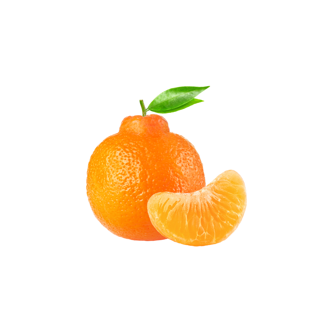 Clementine 1.4.0 RC1 (887) download the new version for mac