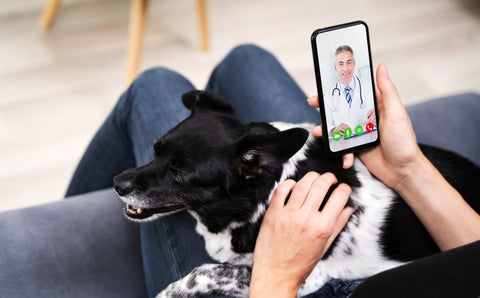 Csanté. Le programme de santé à 360 degrés.