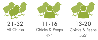 recommended chickens