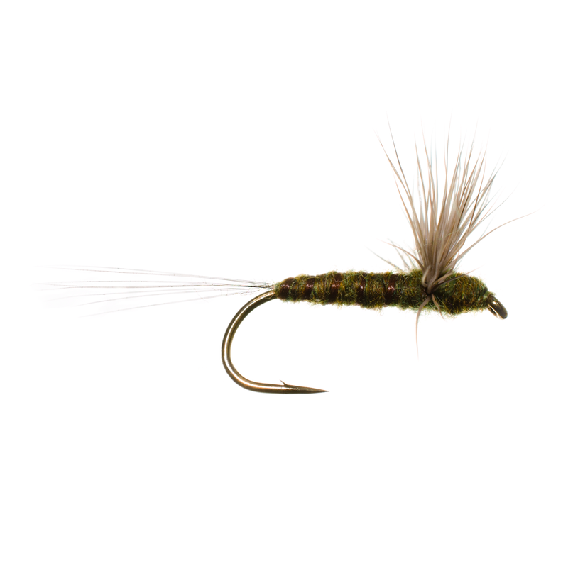 This Comparadun Green Drake has an olive body, brown rib, deer hair wing, and clearish tail fibers.  It can be used to imitate many mayflies. 