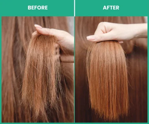 ThriveCo Hair Healing shampoo and conditioner combo before and after images