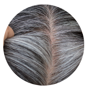 Ash Grey Hair