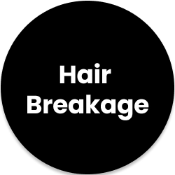 hair growth booster kit for reduced hair breakage