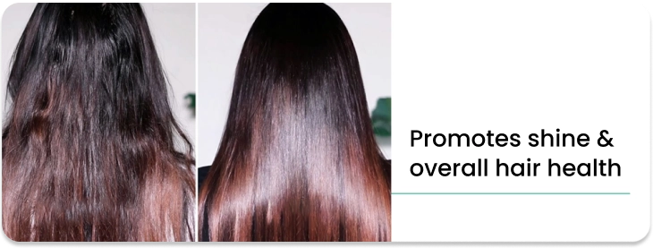thriveco hair volumizer promotes shine & overall hair health