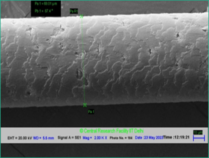 image of normal hair strand under electron microscope