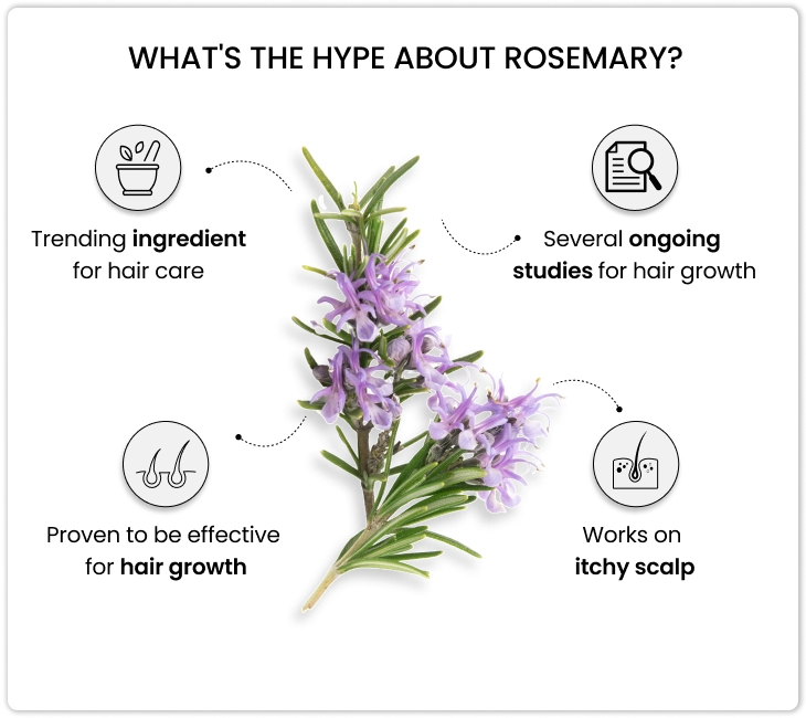 hair conditioner with rosemary for dense hair