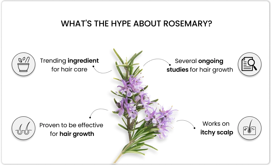 hair conditioner with rosemary for dense hair