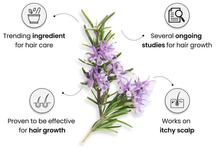 what is the hype about rosemary