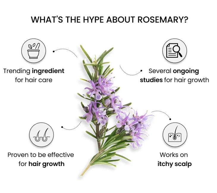 what is the hype about rosemary