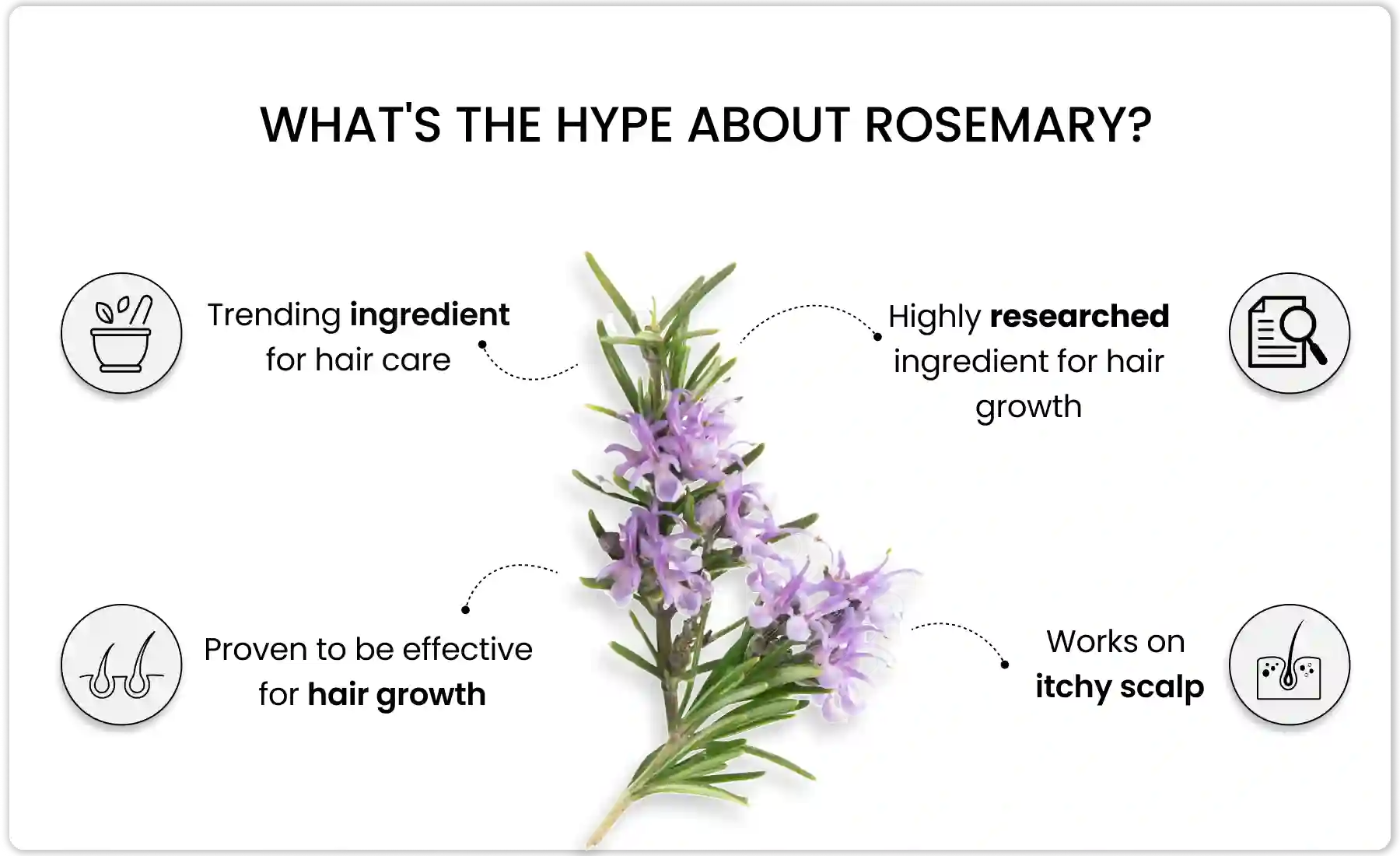 reasons why rosemary is the best ingredient for hair care