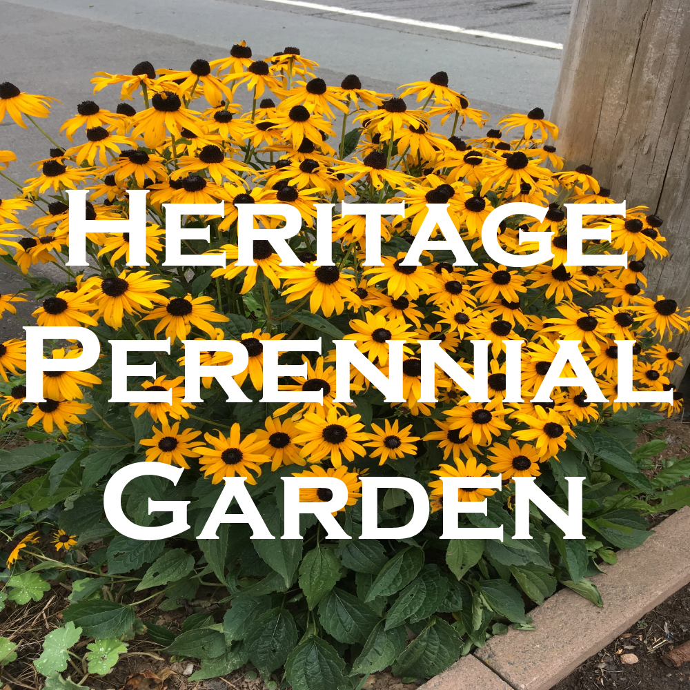 heritage perennial garden