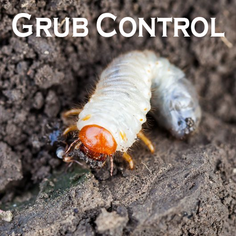 grub control