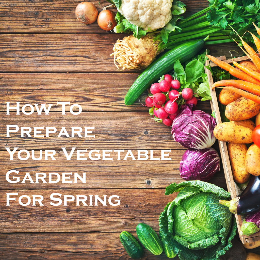 how to prepare your vegetable garden for spring