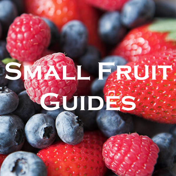 small fruit guides