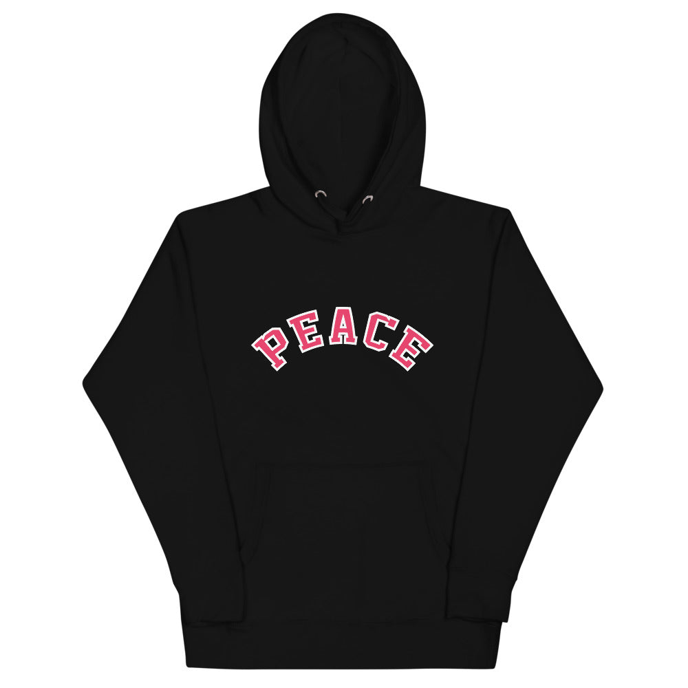Peace Academy Fleece Jogging Suit - Grey – ballin4peace