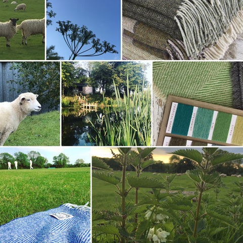 pure natural wool